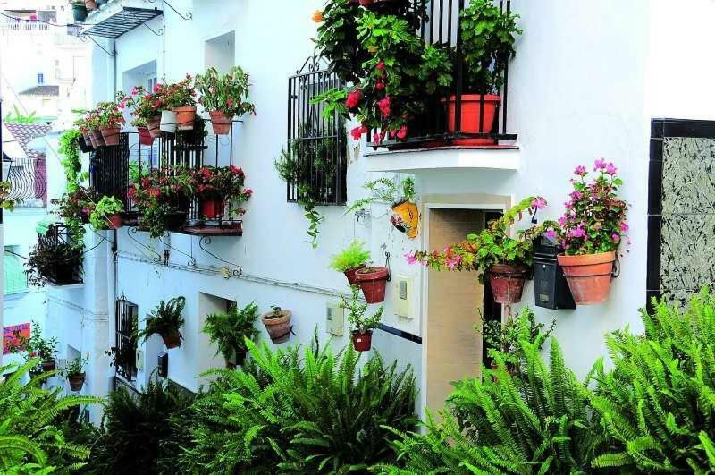 Vila Casa Tita Laura Algarrobo Exteriér fotografie